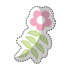 cute flower isolated icon vector illustration design