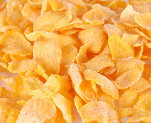 corn flakes isolated