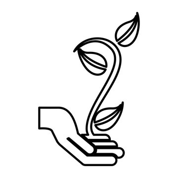 hand human with plant silhouette isolated icon vector illustration design