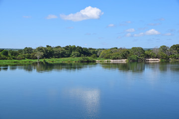 Africa Wildlife (Zambia) 