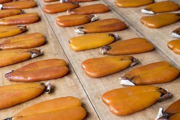 Mullet fish roe for sale at market