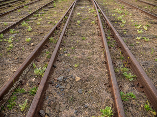 Obraz premium Old rusted railroad switch with grass growing between the sleepers