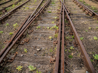 Obraz premium Old rusted railroad switch with grass growing between the sleepers