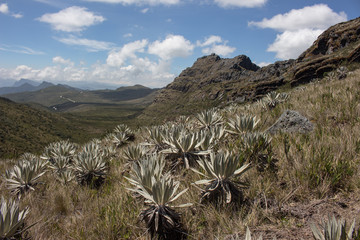 Cuchillas de Siecha