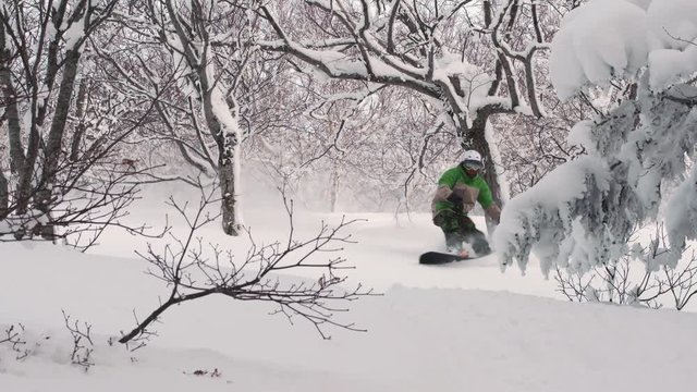 Snowboarding Powder Snow in Niseko Hokkaido Japan Forest Trees