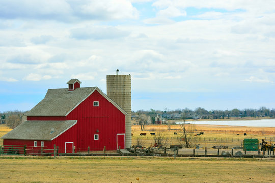Red Barn with Cows and Encroaching Suburban Homes and Condominiums in the Background