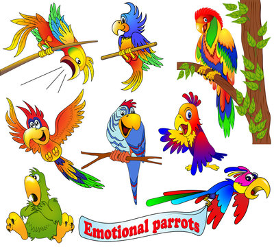 Illustration of a set of bright emotional cartoon parrots