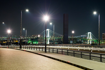 Toyosu Market in japan
