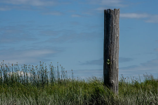 Rural fence post