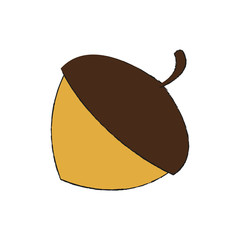 hazelnut icon over white background. vector illustration