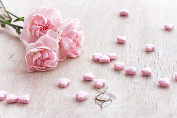 Fototapeta na wymiar Holiday background three pink carnations, candy heart