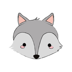 cute wolf icon over white background. colorful design. vector illustration