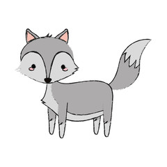 cute wolf icon over white background. colorful design. vector illustration