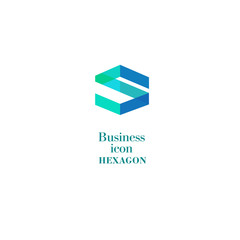 Business icon Hexagon, flat polygonal hexagon, geometric design concept