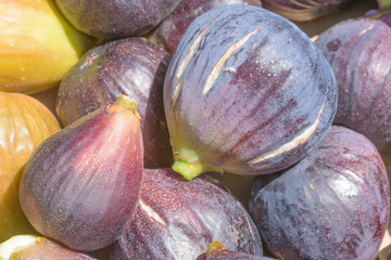 Pile of Fresh Figs