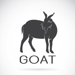 Vector of a goat on a white background. Wild Animals.