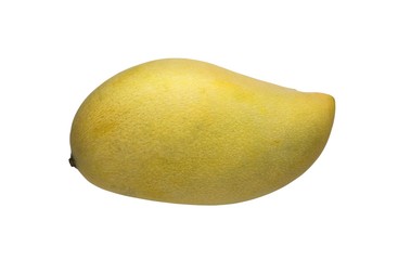 Mango fruit isolated on white background