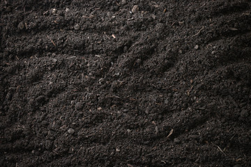Fototapeta na wymiar Soil texture, Soil background, Top view