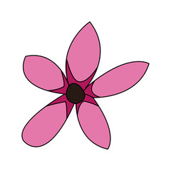single pink delicate flower icon image vector illustration design 