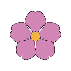 single pink delicate flower icon image vector illustration design 