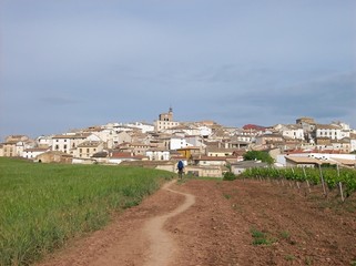 On the road towards santiago de compostela