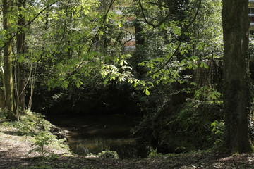 Rivière nantaise