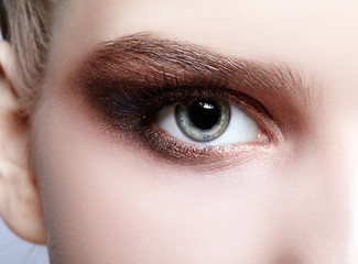 Female eye zone and brows with day makeup