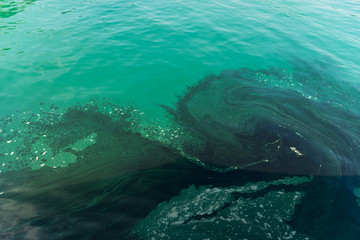 Water pollution caused by oil from fishing boats. Useful for background or texture. This...