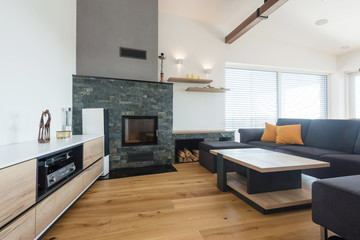 contemporary living room interior