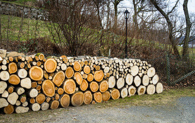 pile of natural wooden logs