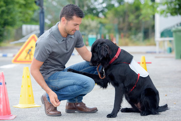 Dog handler at work