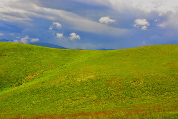 Mountain landscape of meadows
