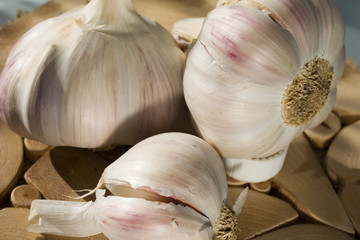 Three bulbs of garlics on a juniper stand. Closeup 1