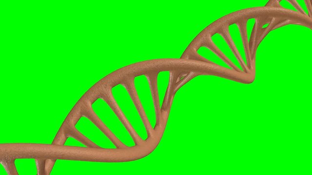 DNA - Chromakey - 4K UHD