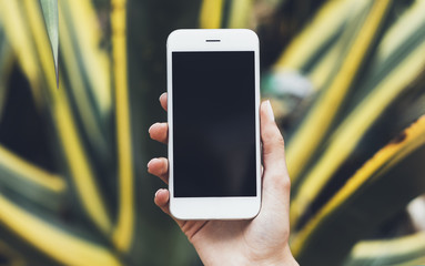 Hipster photograph on digital smart phone or technology, mock up of blank screen. Girl using mobile on yellow and green flowers background close. Hands holding gadget on blurred backdrop, front view