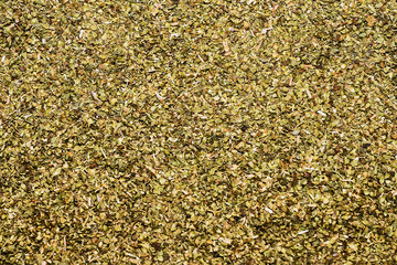 Oregano