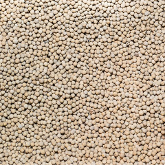 white peppercorns