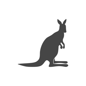 Kangaroo icon design - Illustration