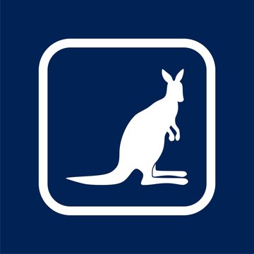 Kangaroo icon design - Illustration