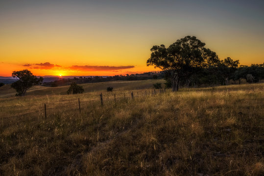 Countryside landscape at sunset in Australia