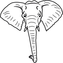 elefant kopf gesicht gemalt