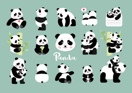Set of Panda figures, isolated vector illustration