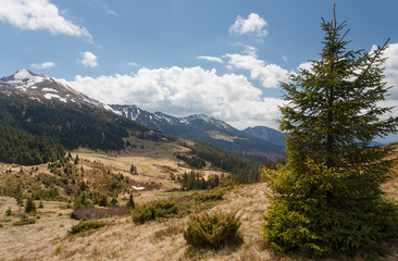 Fototapeta na wymiar Mountain landscape, Carpathians