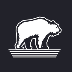 Bear logo design template, vector illustration