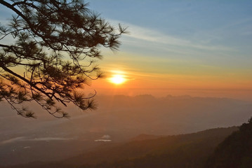 Silhouette of sunrise on mountain with tree branches as foreground.