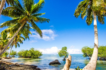 Vacances, tourisme, bonheur, joie, solitude, temps mort, méditation : des vacances de rêve sur une plage solitaire des Caraïbes :)