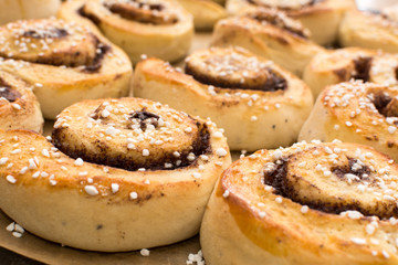 Delicious fresh cinnamon rolls