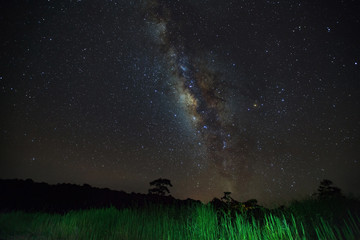 Fototapeta premium Milky Way and silhouette of tree at Phu Hin Rong Kla National Park,Phitsanulok Thailand, Long exposure photograph.with grain