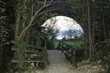 Riserva naturale , torbiere del sebino Brescia