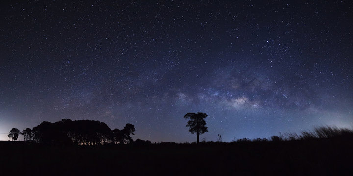 Panorama milky way and silhouette of tree at Khao Kho, Phetchabun, Thailand, Long exposure photograph.with grain